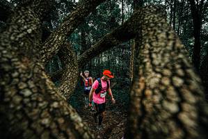 BIB: 
                            <button type="button" onclick="openModal(25672843)" class="btn btn-primary btn-sm float-right btn-popup" data-toggle="modal" data-target=".modal-high-quality">
                        <i class="fas fa-shopping-cart"></i> Add to Cart
                    </button>
                                            <button type="button" onclick="isThisMe(25672843, true)" class="btn btn-success btn-sm float-right btn-popup btn-isme hidden" data-toggle="tooltip" data-placement="bottom" title="นี่คือรูปของคุณใช่ไหม คลิกที่นี่เพื่อเอาเข้าอัลบั้ม">
                        <i class="fas fa-plus"></i> Add to album
                    </button>
                    <button type="button" onclick="isThisMe(25672843, false)" class="btn btn-warning btn-sm float-right btn-popup btn-isnotme hidden">
                        <i class="fas fa-ban"></i> Remove from album
                    </button>